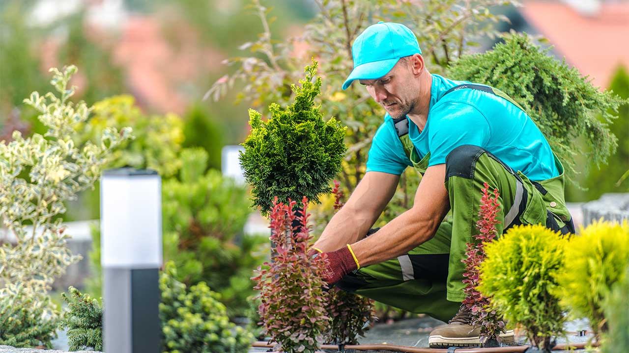 Man planting flowers in soil, carefully tending to garden flora